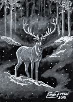 White Stag